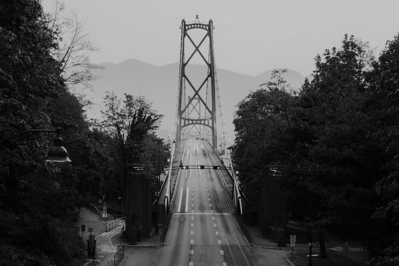 Suspension Bridges